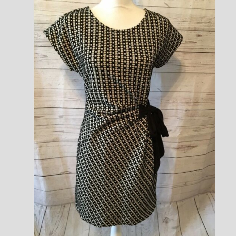 Anthropologie Dress (MTWTHRFRSASU Line)